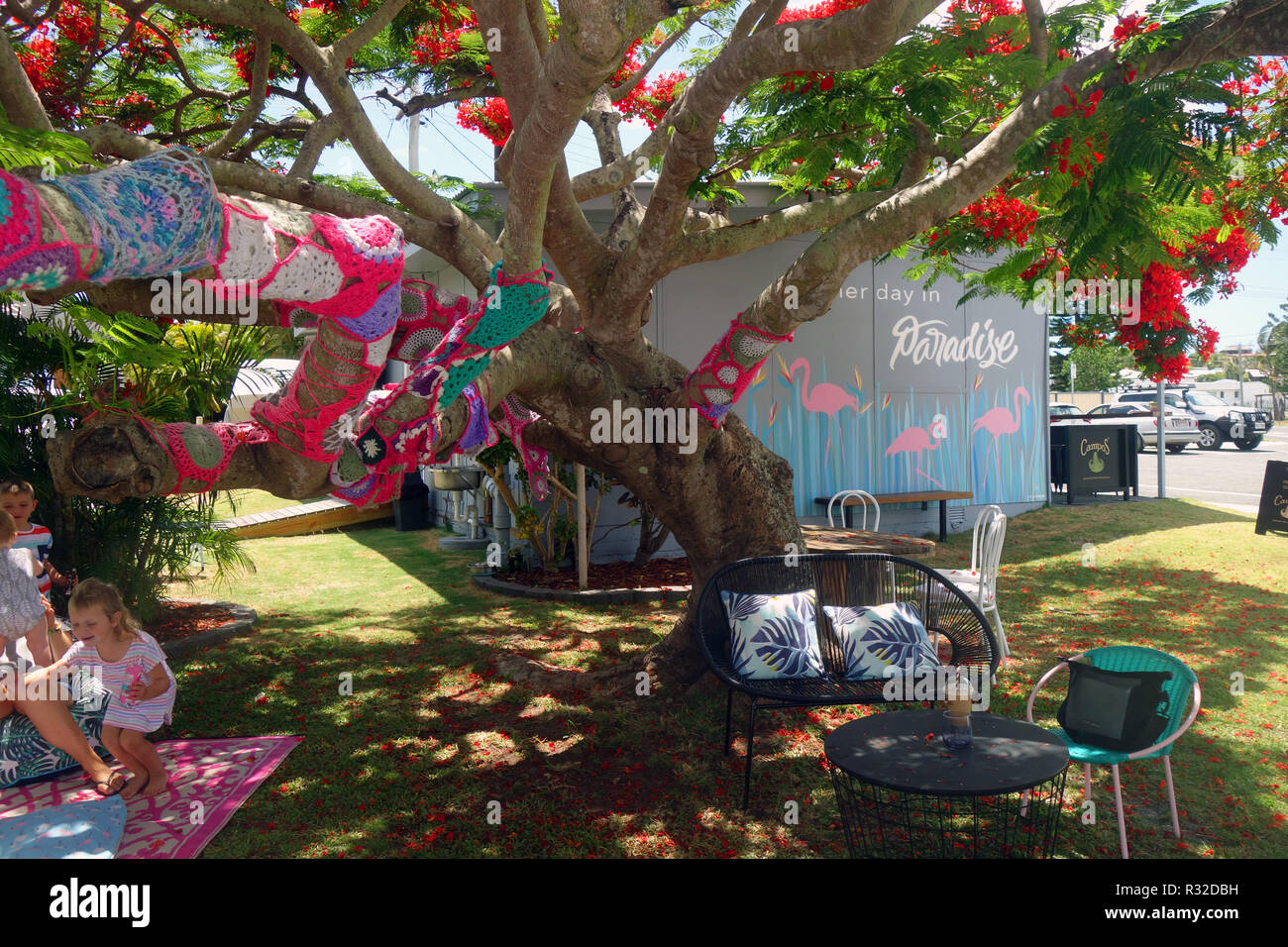 Yarn-bombed flowering Ponciana tree with outdoor chairs and tables, Two Sisters Cafe, Cooee Bay, Yeppoon, Queensland, Australia. No MR or PR Stock Photo