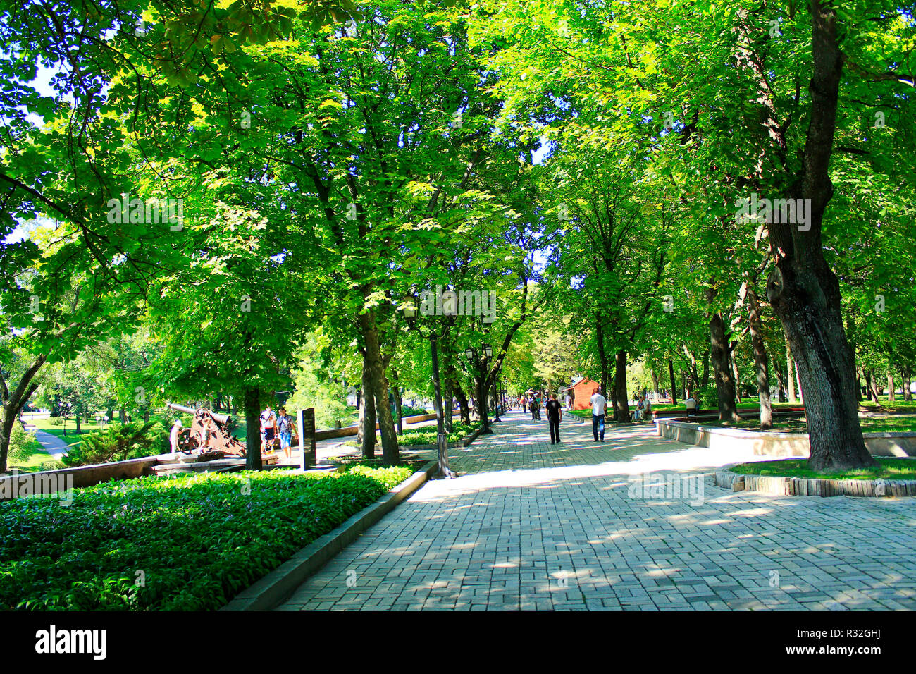 People having a rest in city park with big trees. City park. Walking ...
