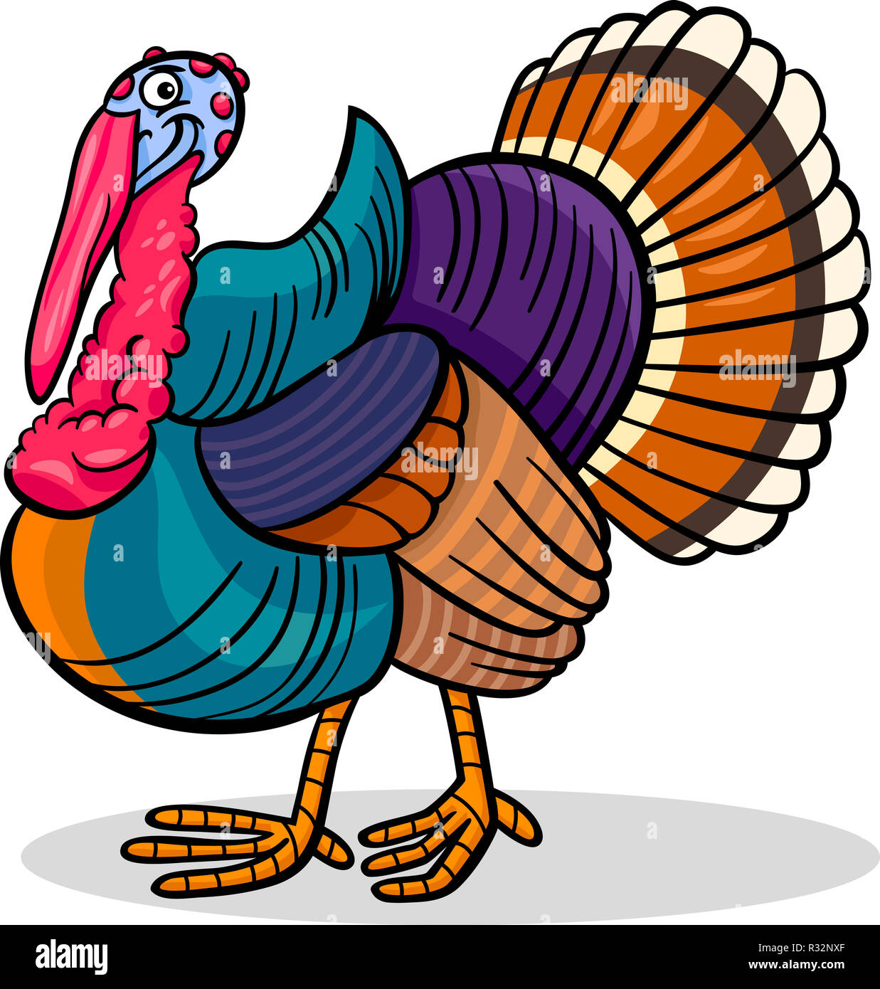 Turkey Bird Drawing Stock Photos & Turkey Bird Drawing Stock Images Alamy