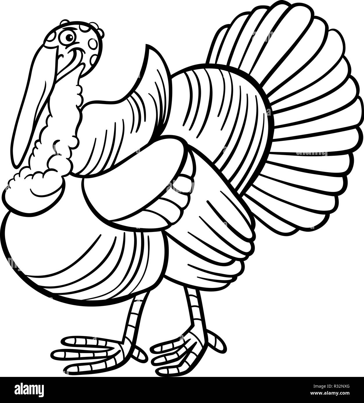 Turkey Bird Drawing Black and White Stock Photos & Images Alamy