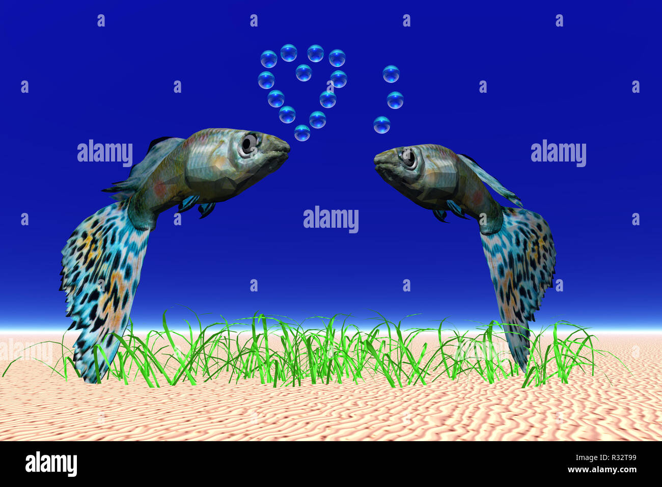 fishes with heart Stock Photo Alamy