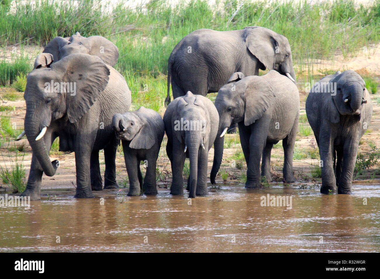 drink party at the river Stock Photo - Alamy