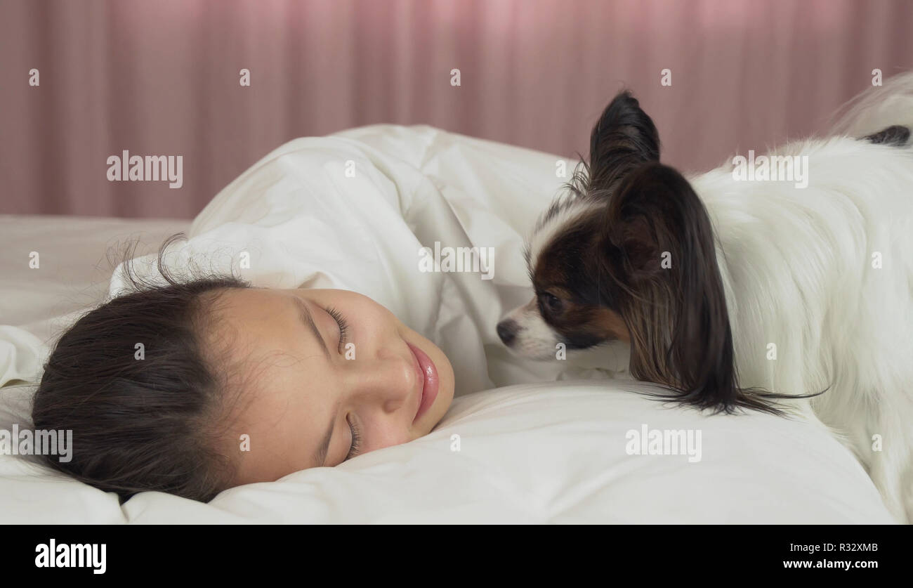 Papillon dog wakes teen girl in the bed Stock Photo - Alamy
