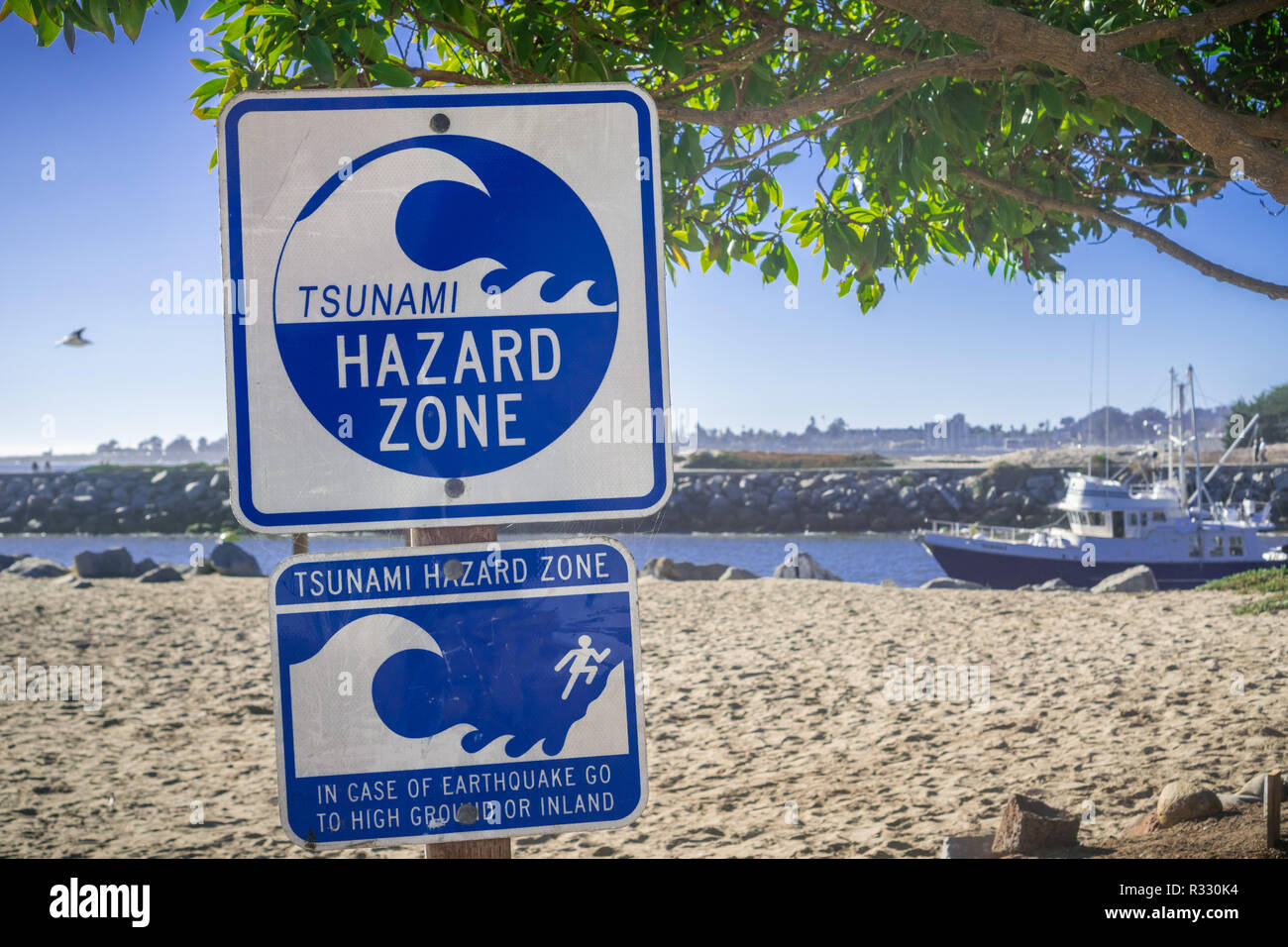 Last tsunami santa cruz