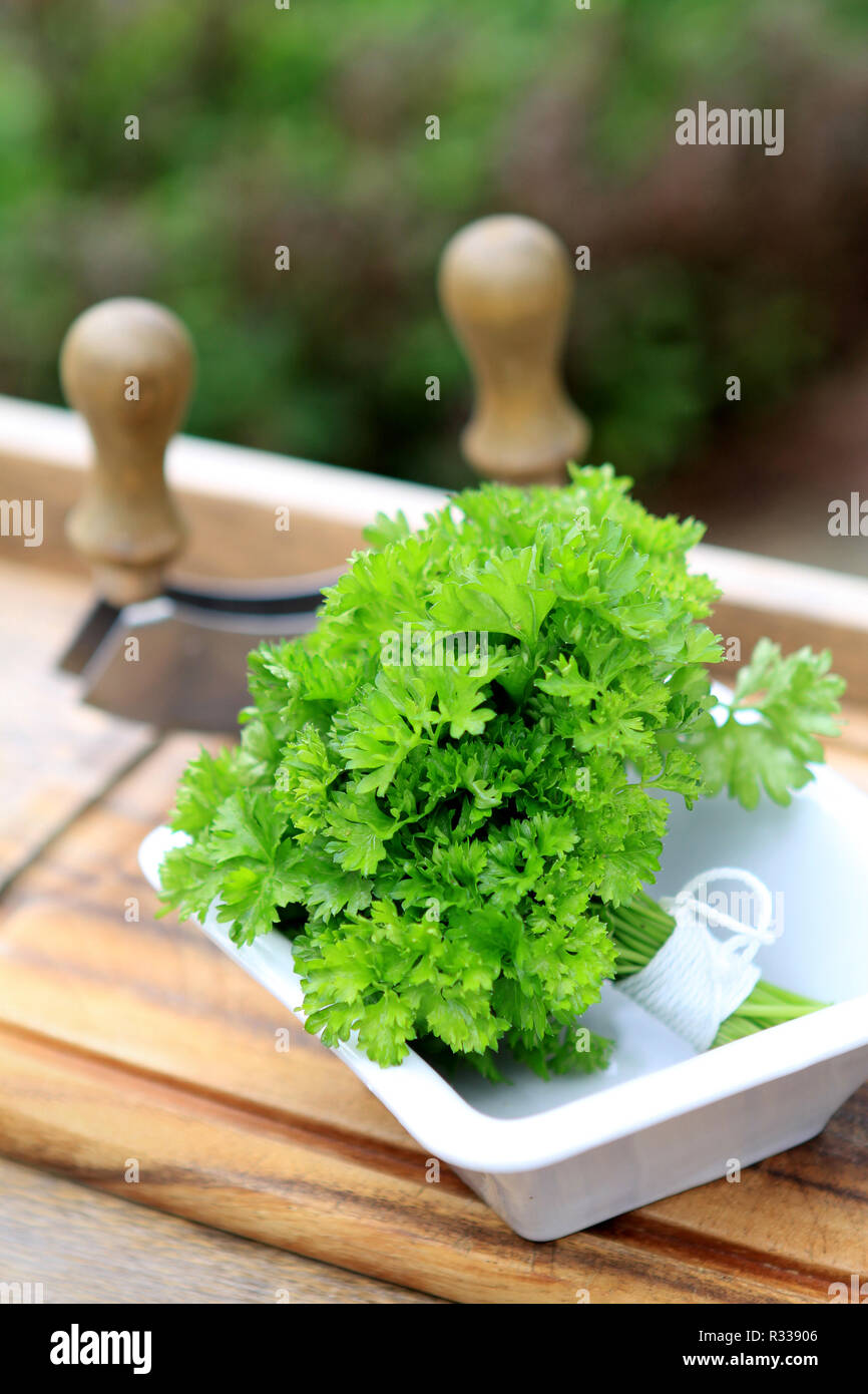 parsley with cuttler Stock Photo
