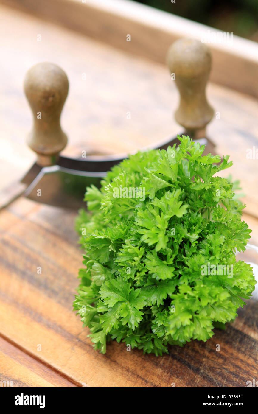 parsley with cuttler Stock Photo