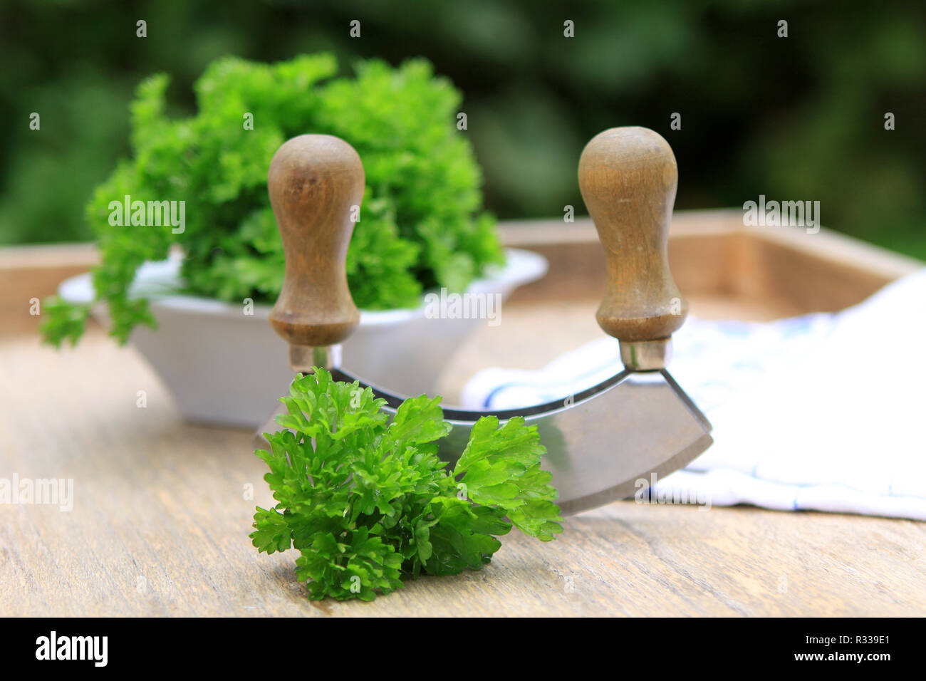 parsley with wiegemesser Stock Photo