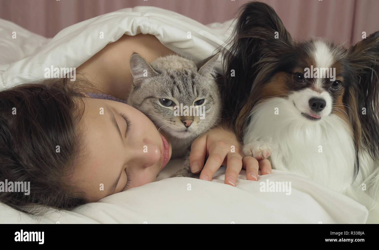 Beautiful teen girl sleeping sweetly in bed with dog and cat Stock Photo