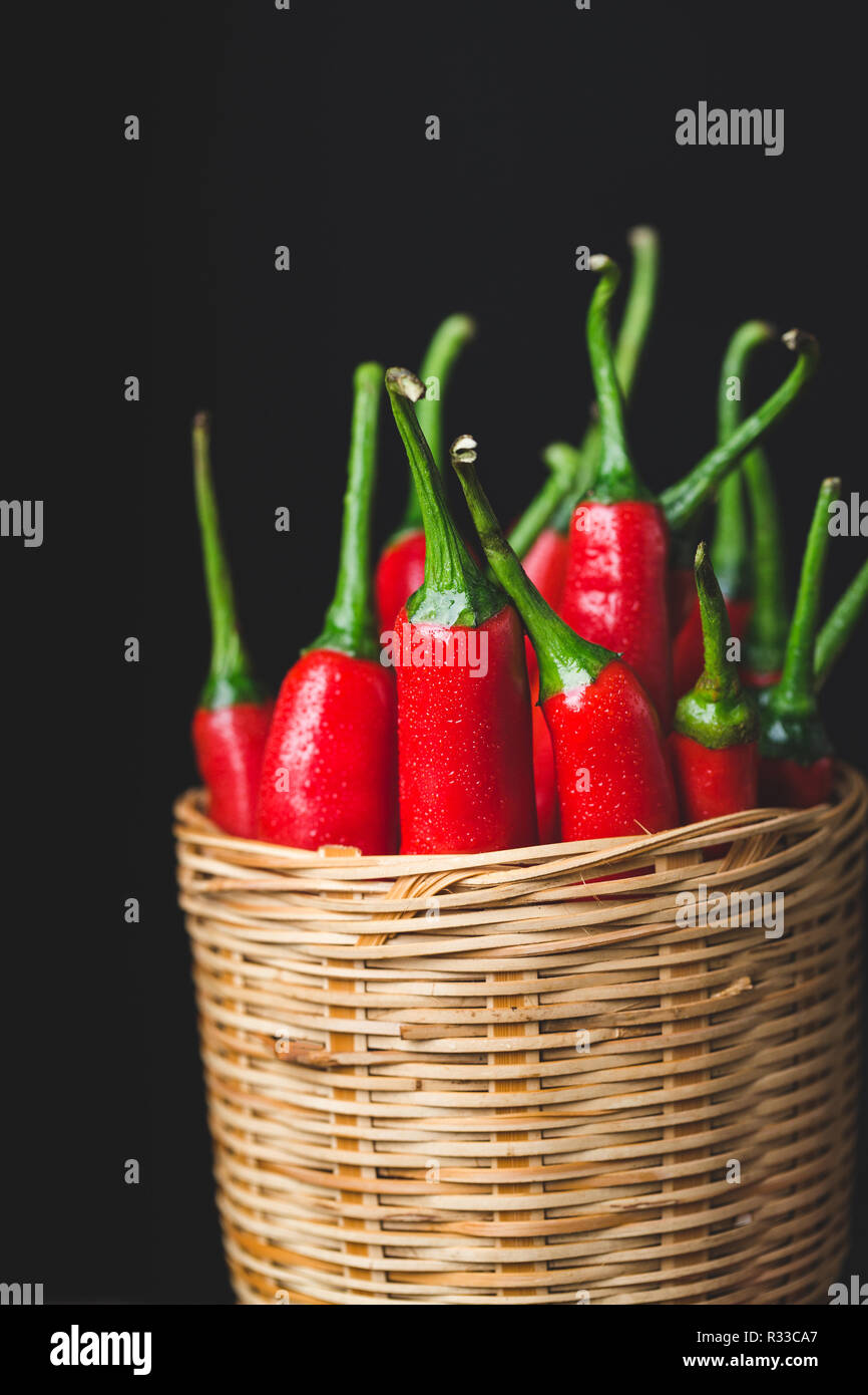 Chillies fresh plant hi-res stock photography and images - Alamy