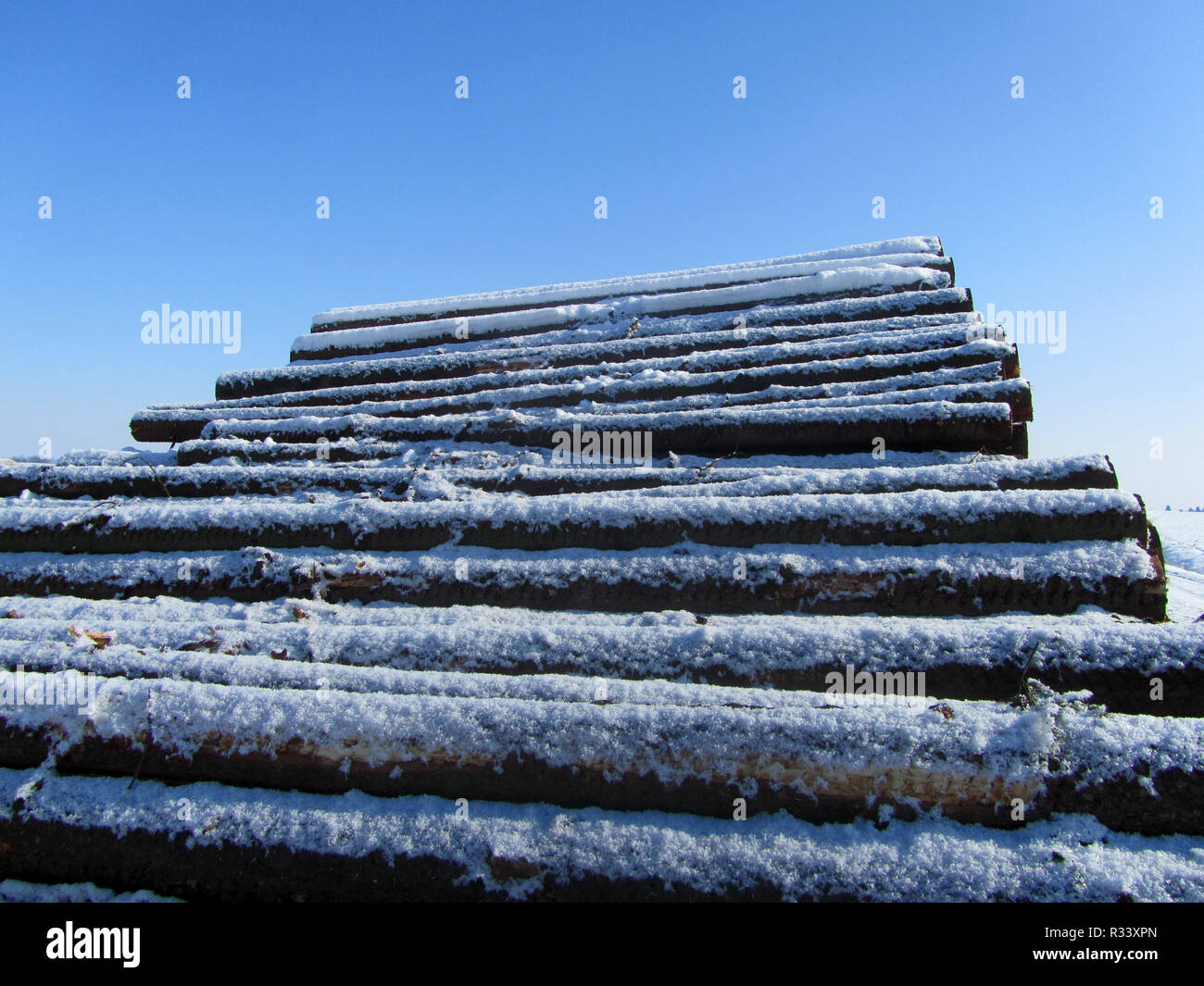 woodpile Stock Photo