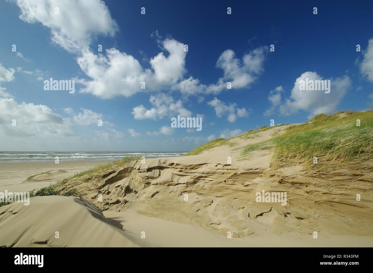 Dunes At Schoorl High Resolution Stock Photography and Images - Alamy