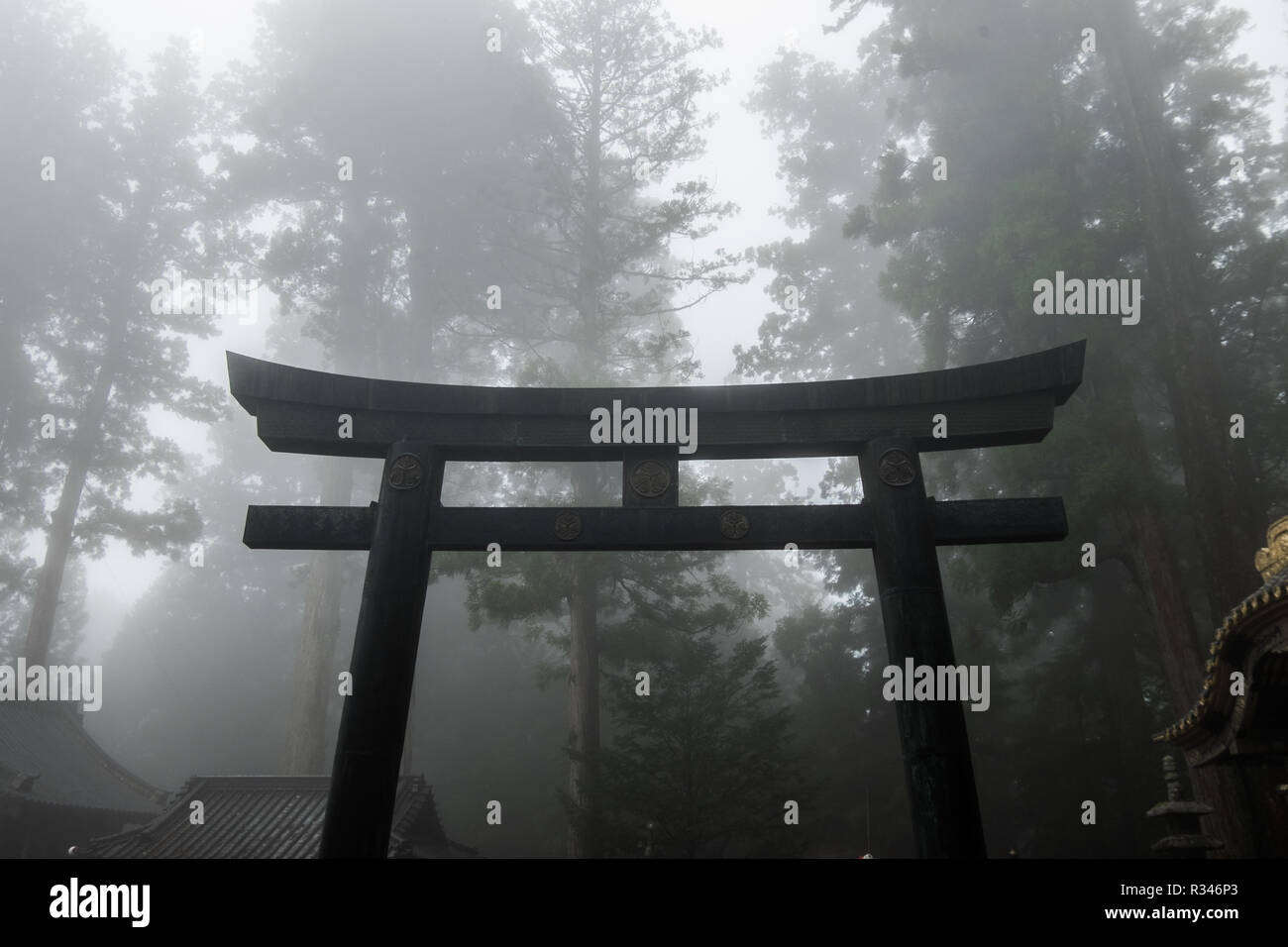 A stunning wooden Japanese gate emerges from the mist, fog at Toshogu
