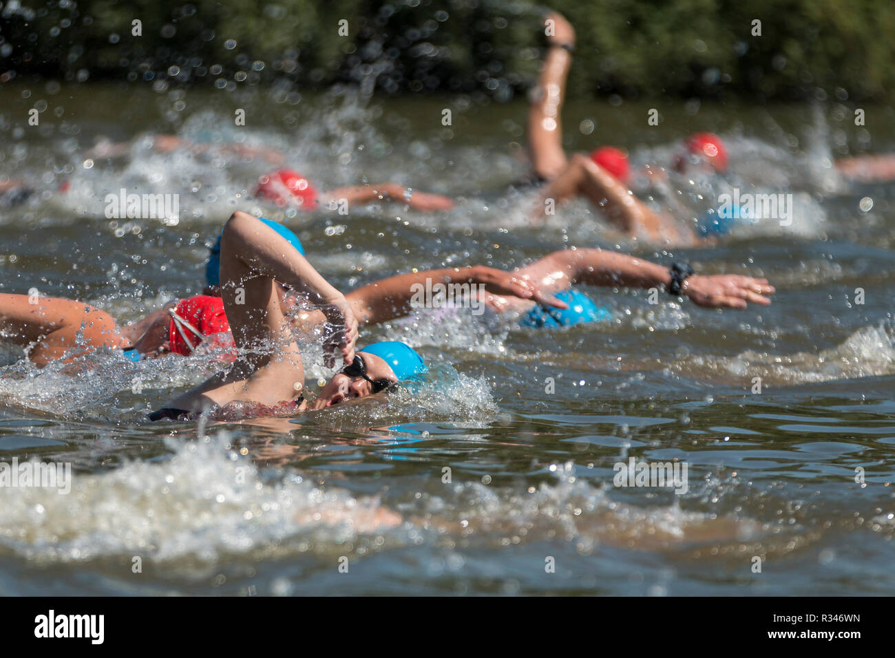 triethleten the swim start in the lake Stock Photo