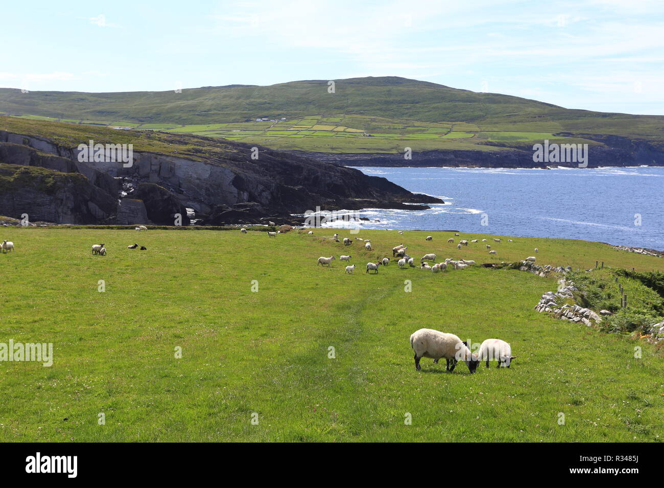 wild atlantic way Stock Photo - Alamy