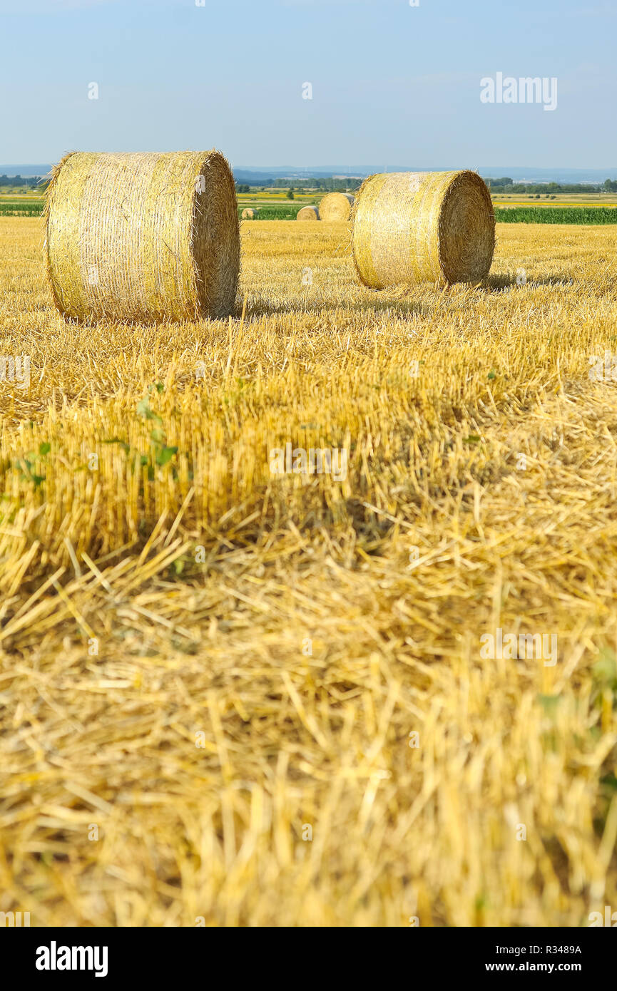 straw bales on stubble field of cereal Stock Photo - Alamy