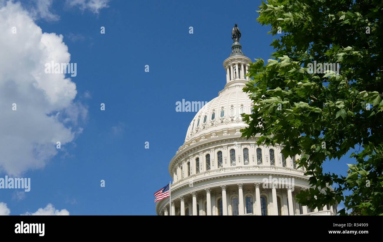Washington DC capitol detail with american flag and trees Stock Photo ...