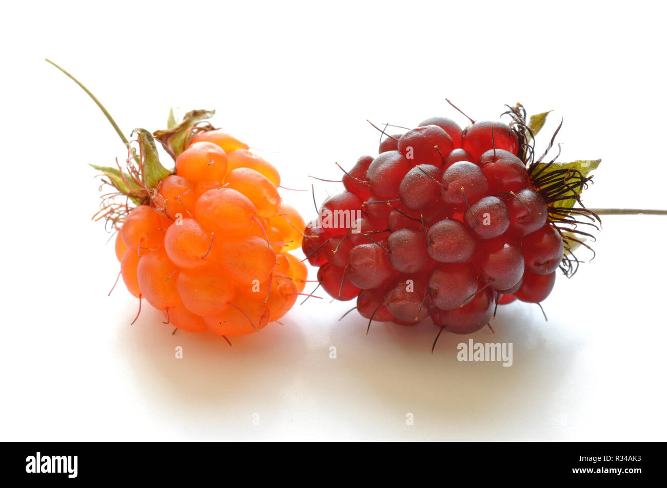 Rasp leaf hi-res stock photography and images - Alamy