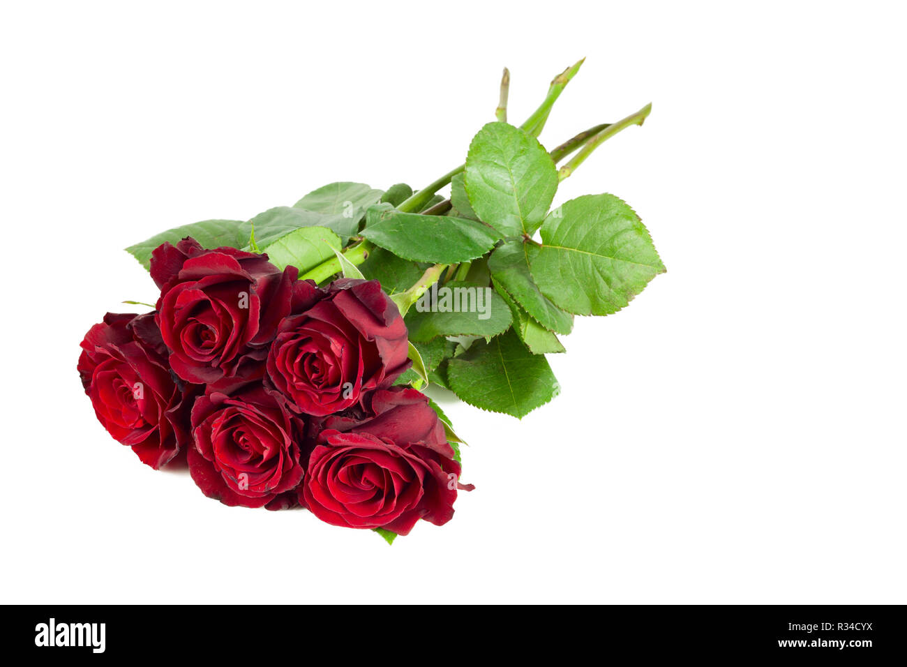 Ten roses Cut Out Stock Images & Pictures - Alamy