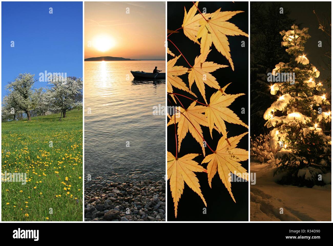 four seasons Stock Photo - Alamy