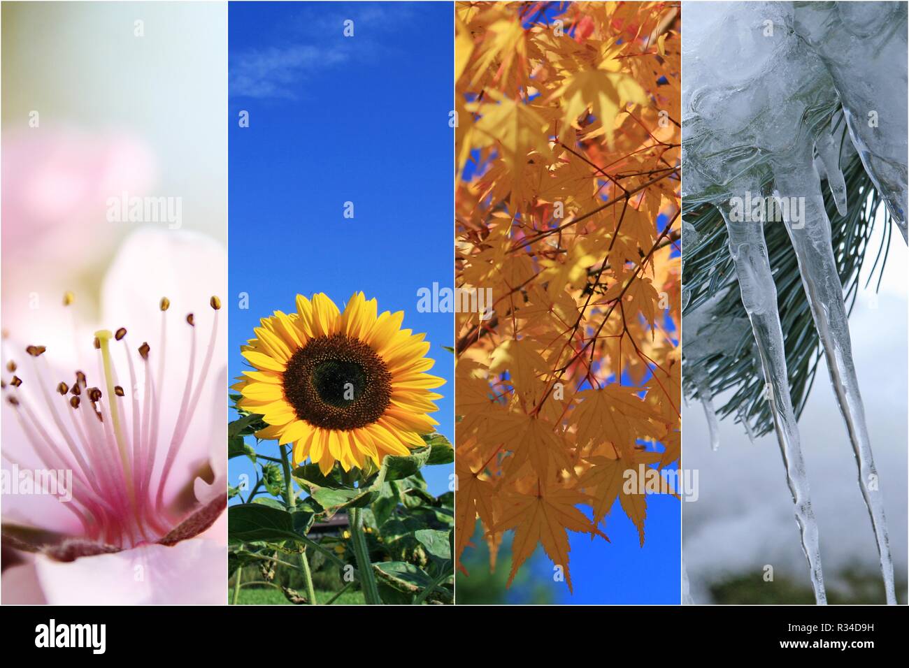 4 seasons collage hires stock photography and images Alamy