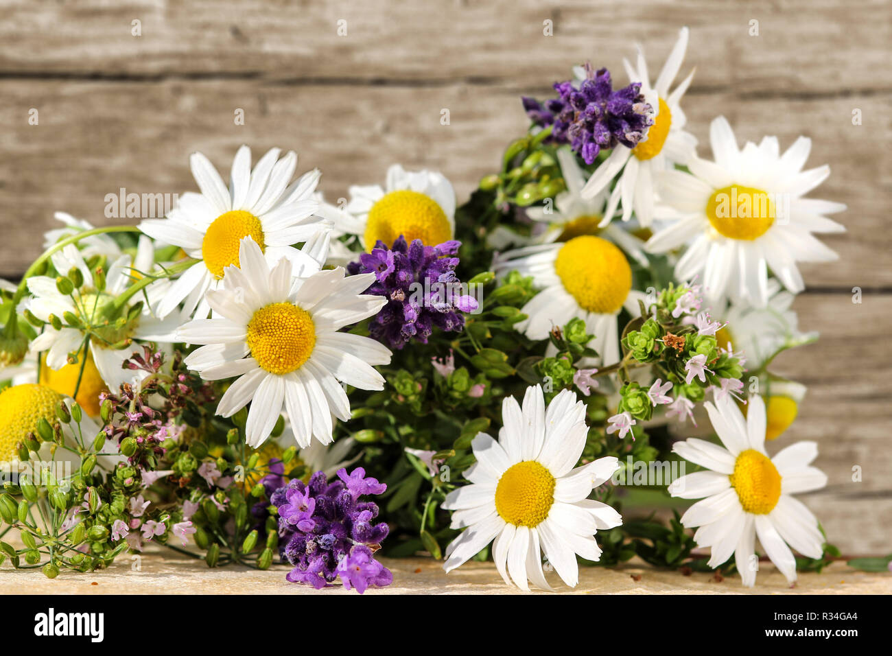 homeopathy with herbs and medicinal plants Stock Photo