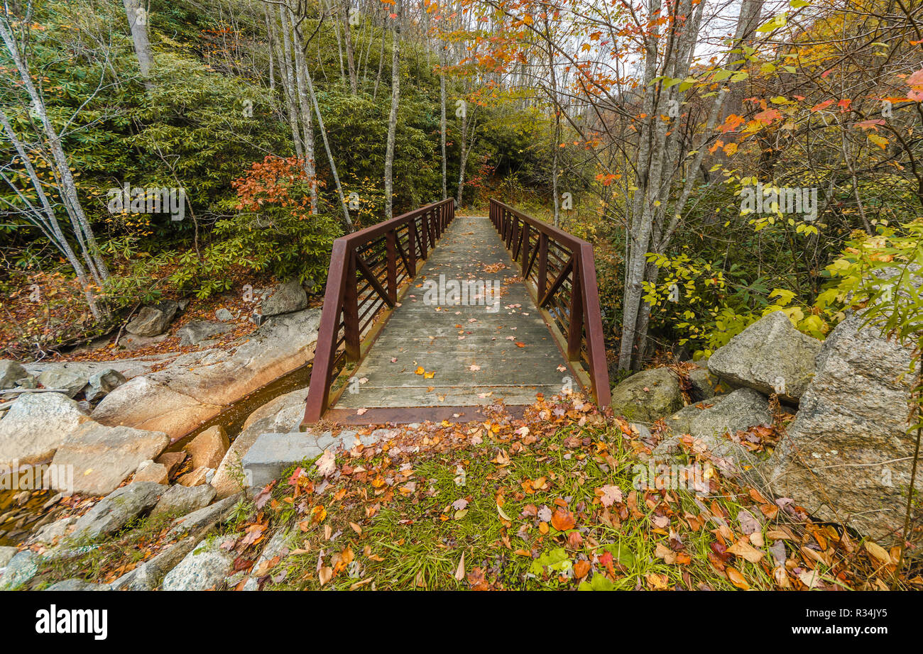 A bridge along a hiking trail in the North Carolina mountains during ...