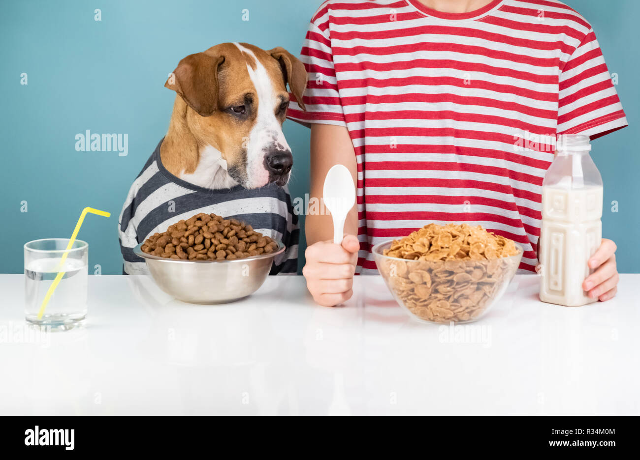 Hungry dog and human having breakfast together. Minimalistic