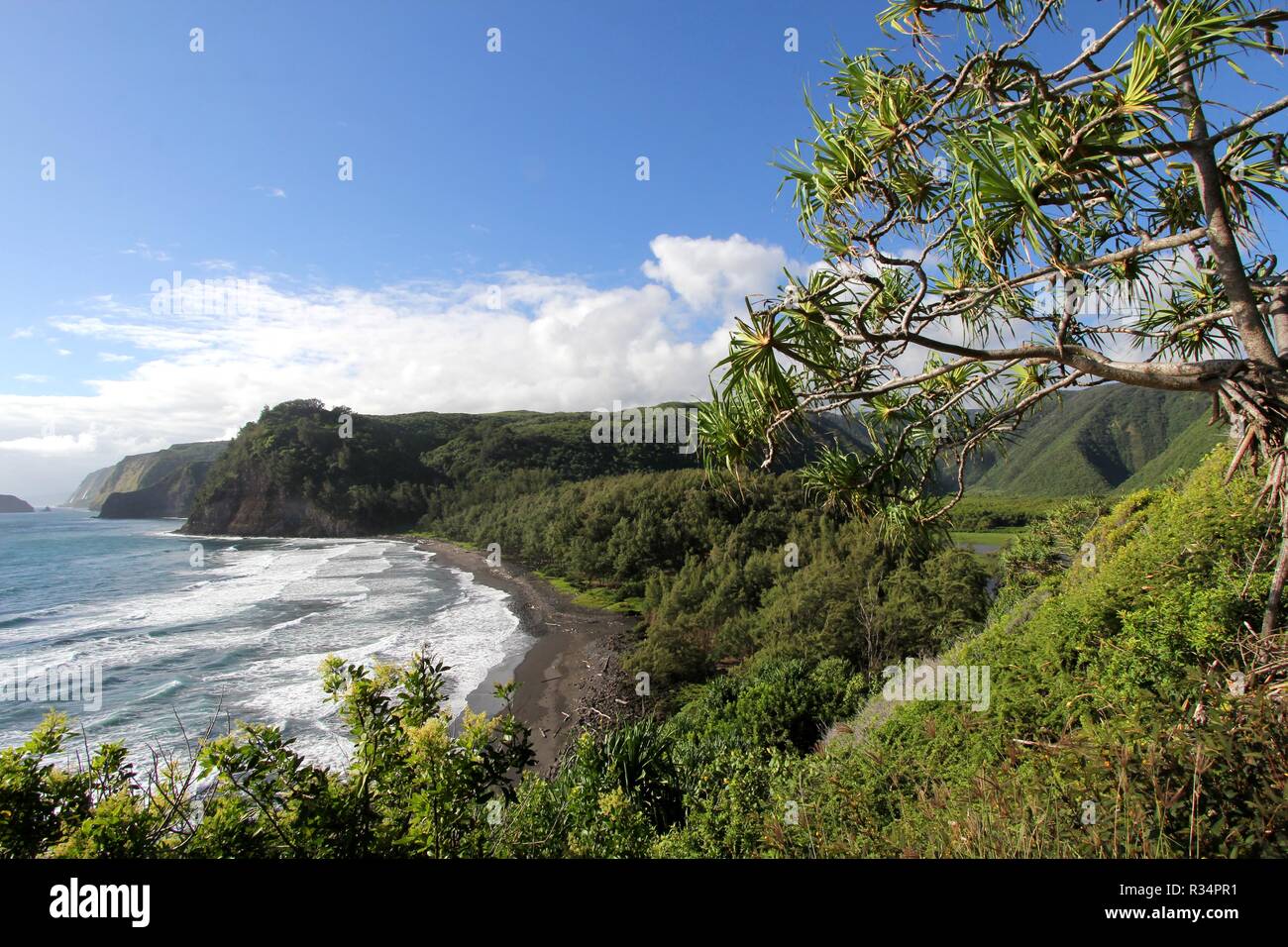 pololu valley overlook Stock Photo - Alamy
