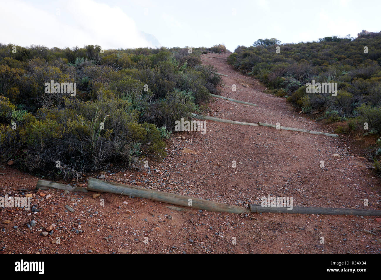 Footpath on hiking trail in the Karoo Desert National Botanical Garden ...