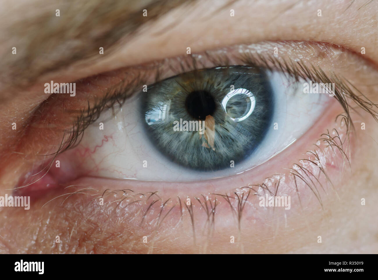 Man field lens hi-res stock photography and images - Alamy