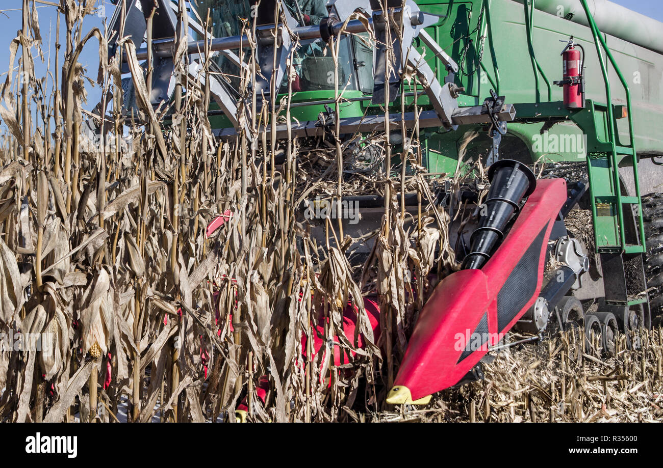 Mechanical harvesting machine hires stock photography and images Alamy