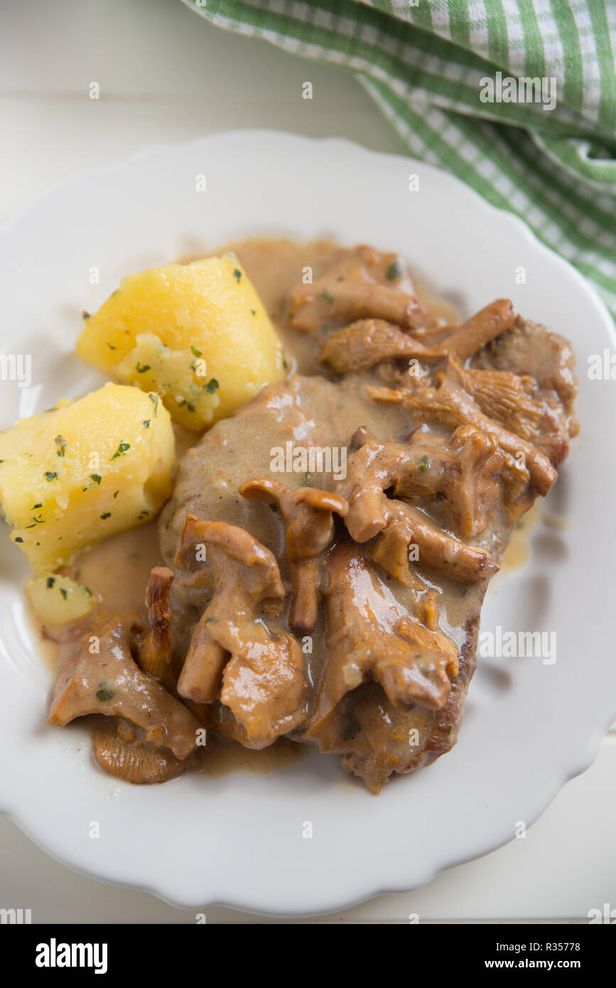 sauce with fresh chanterelles Stock Photo Alamy