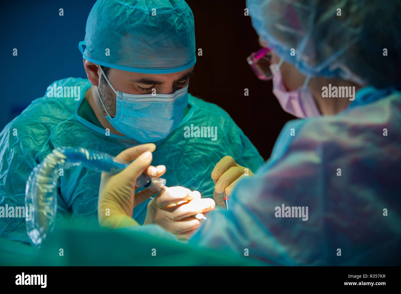 Dentist and assistant working in cooperation in the operational theatre Stock Photo