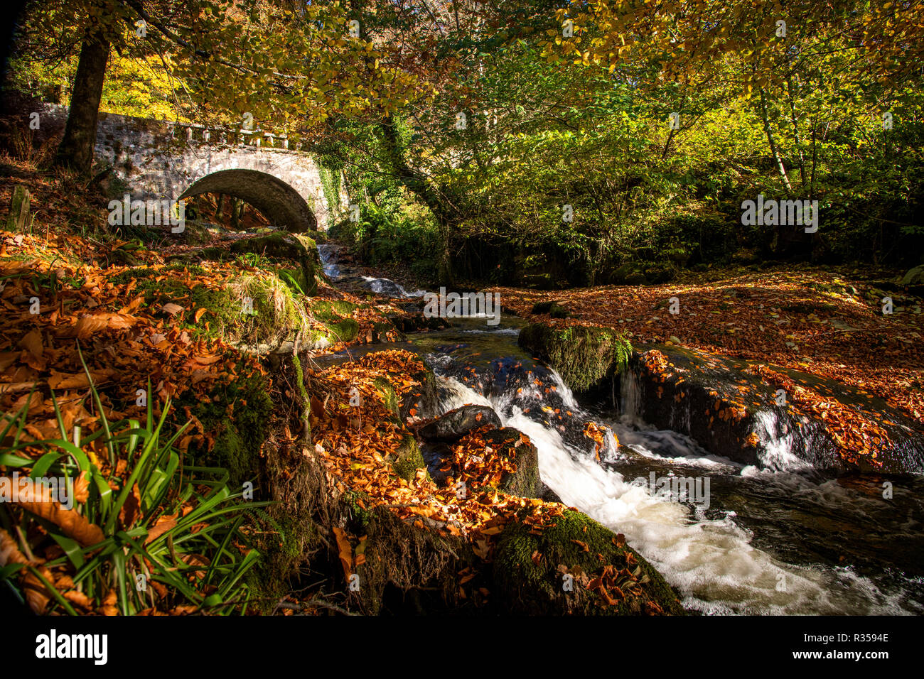 Shankhill river at Cloghleagh Stock Photo