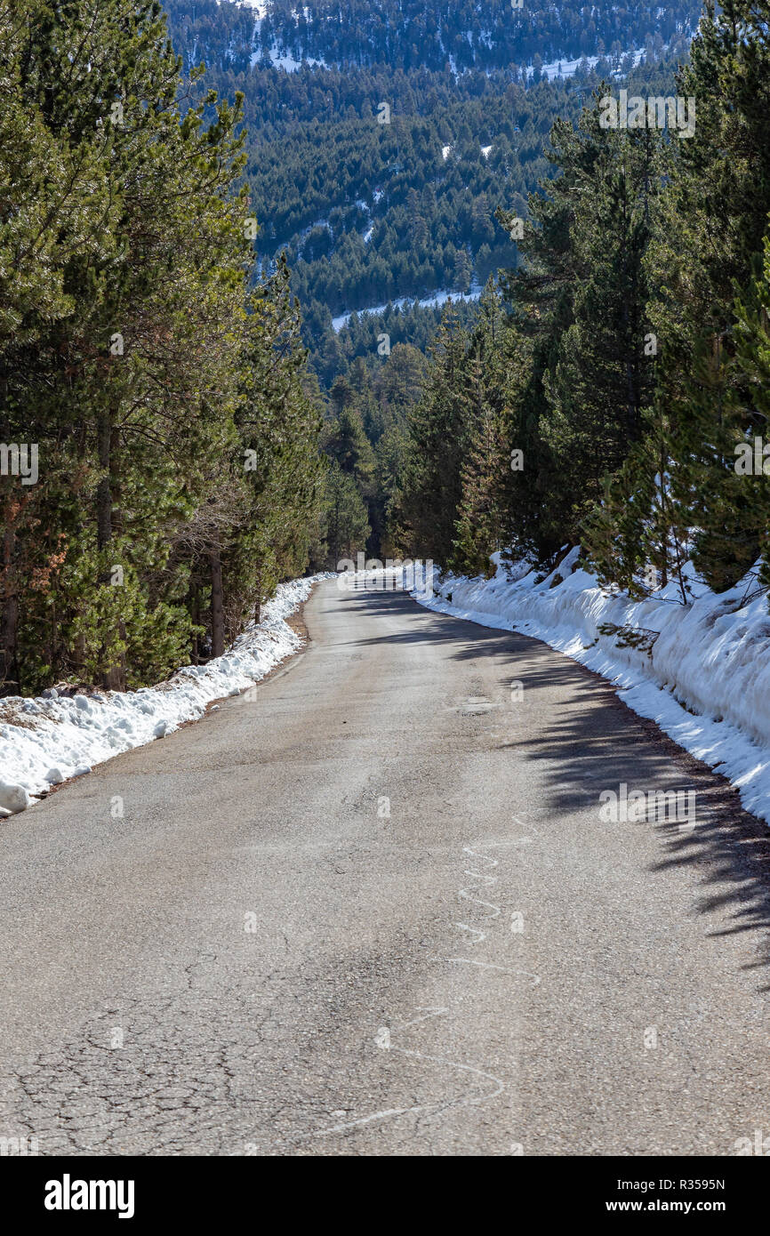 Empty snowy asphalt road on the pine forest Stock Photo - Alamy