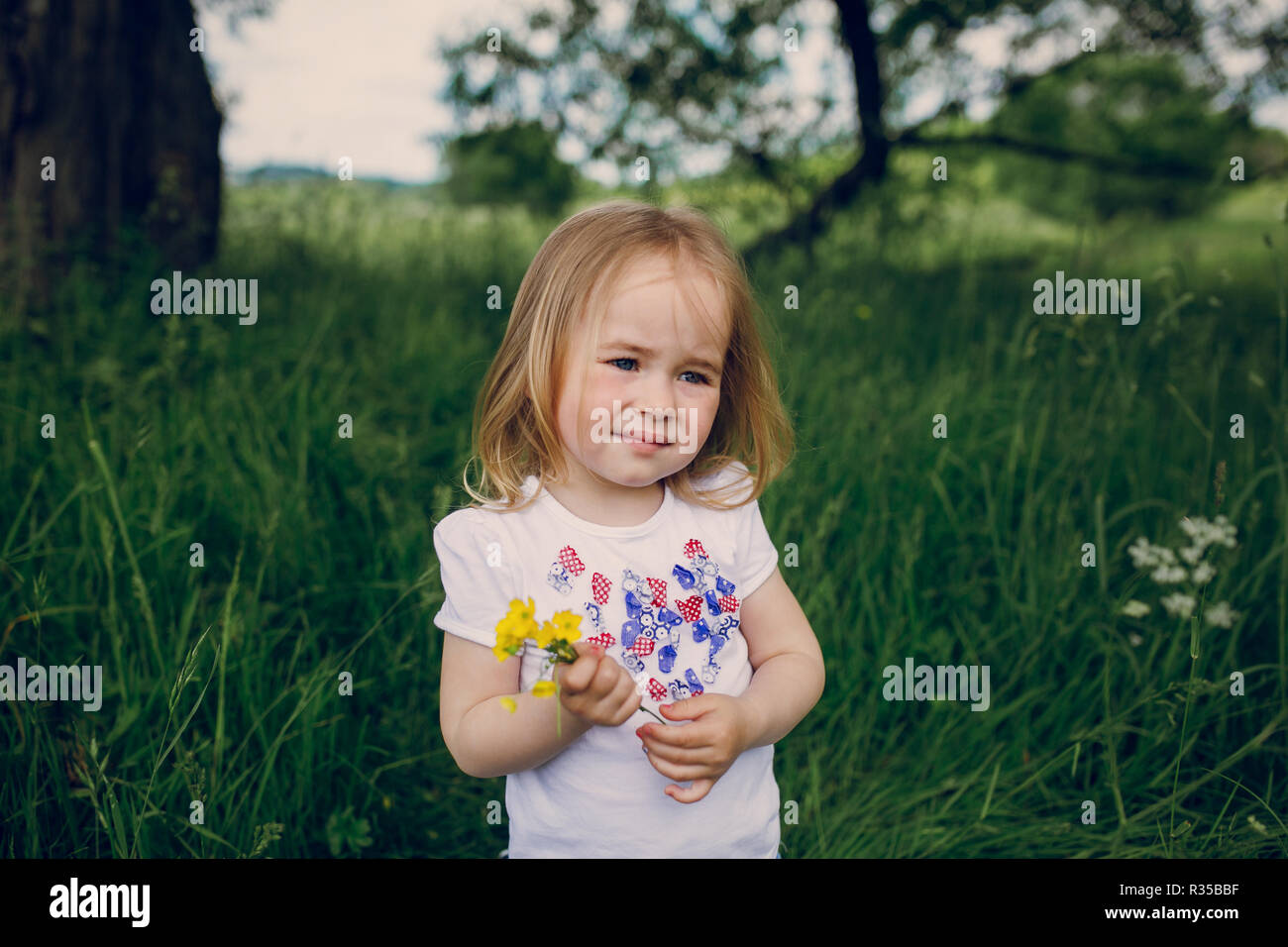 beautiful little girl in the meadow near tree posing and smiling Stock ...