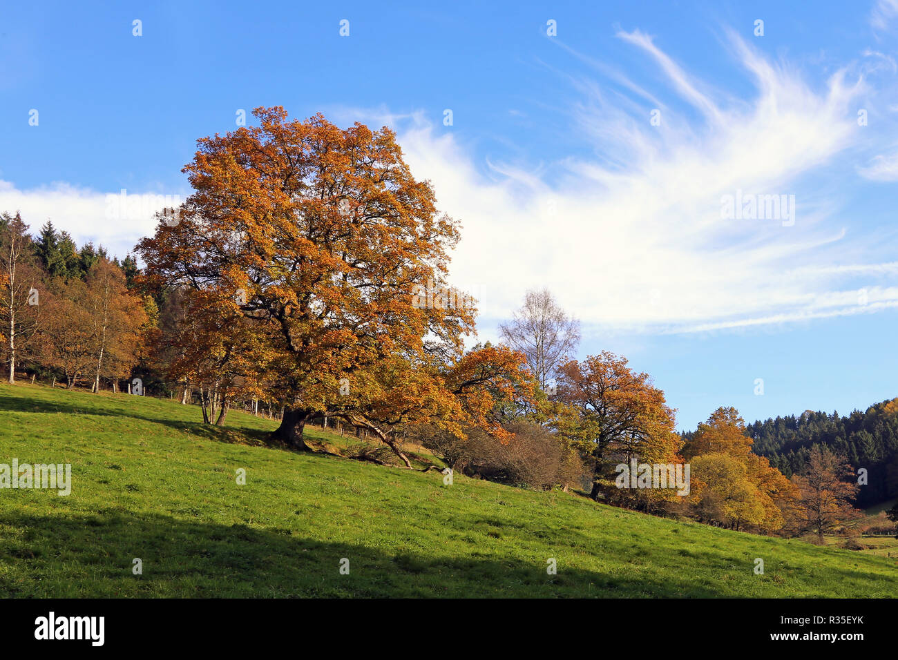 an autumn day in the sauerland Stock Photo
