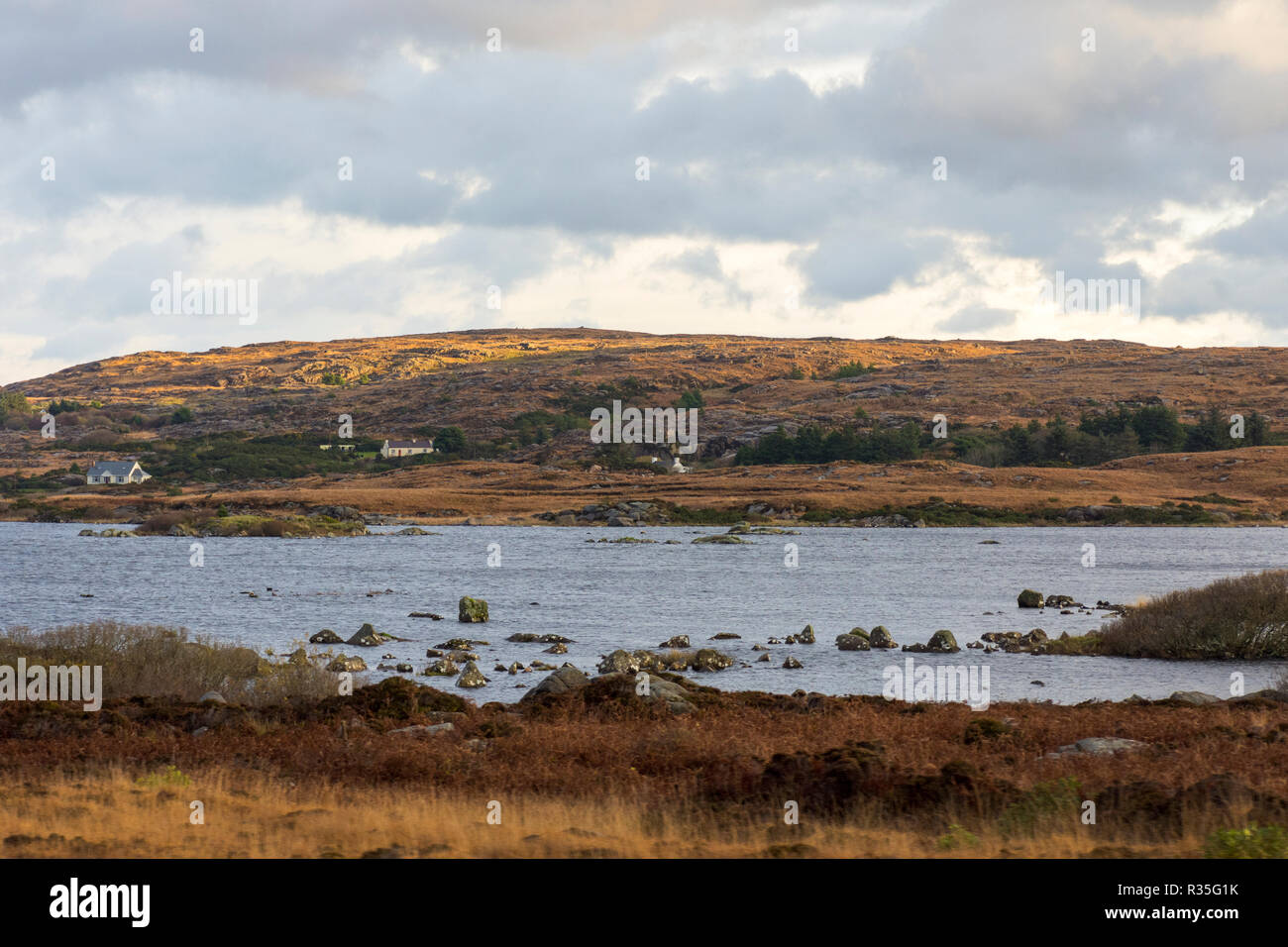 Rural homes housing near Burtonport, County Donegal, Ireland Stock Photo Alamy