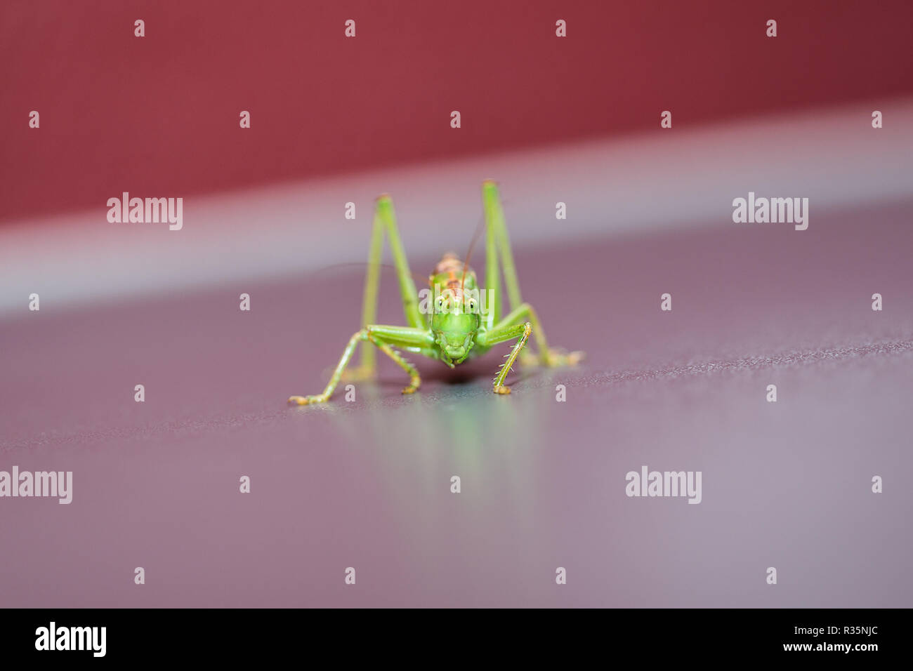 Ayer 8 High Resolution Stock Photography And Images Alamy