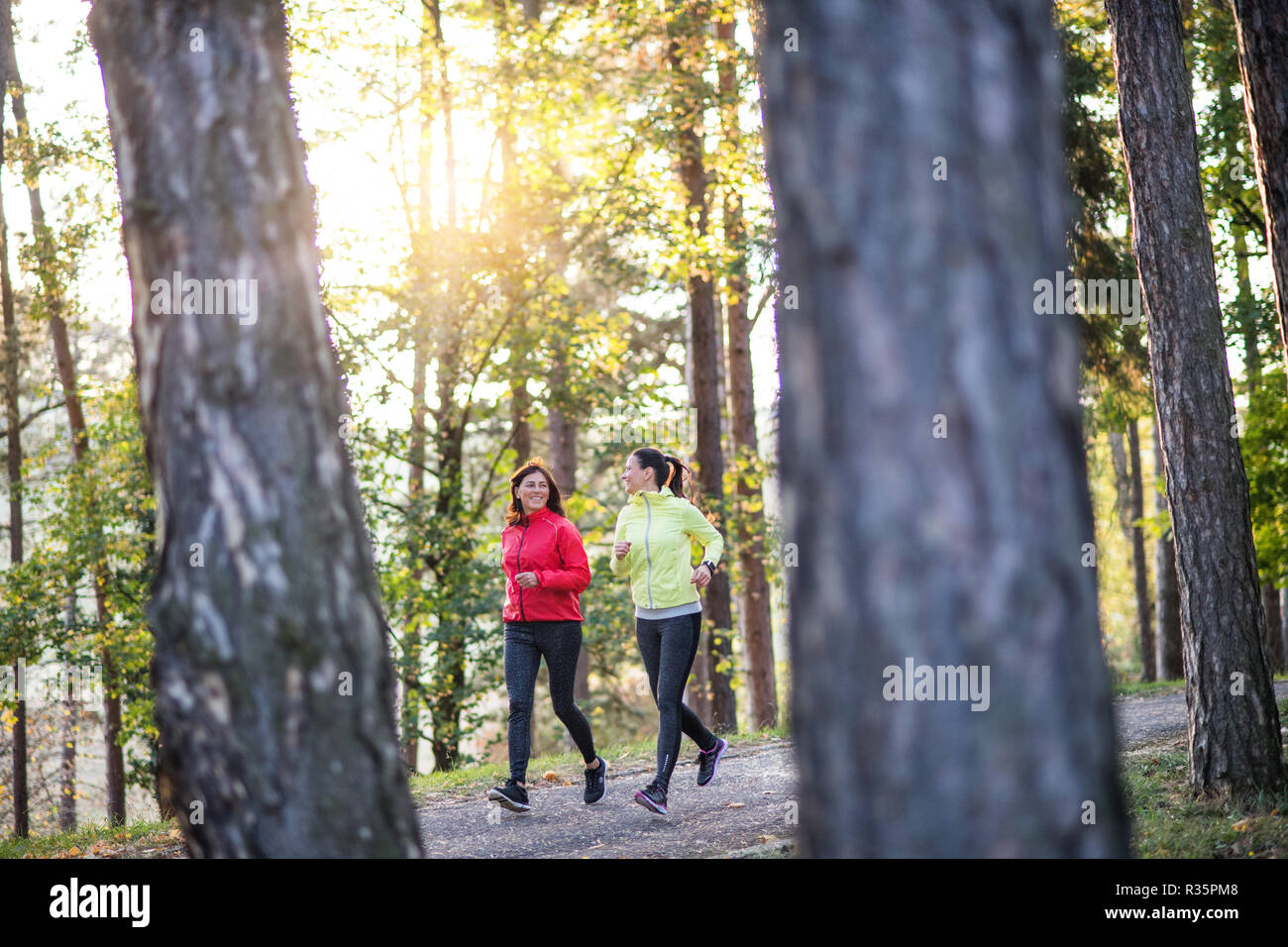 Two female runners jogging outdoors in forest in autumn nature. Stock Photo