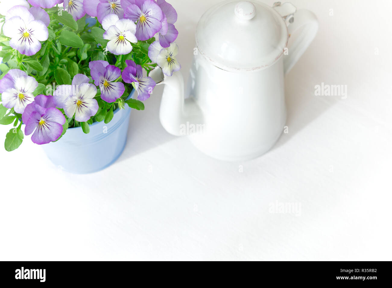 Purple, blue and lilac pansy flowers in a beautiful pot with a vintage enamel jug on white background, copy or text space Stock Photo