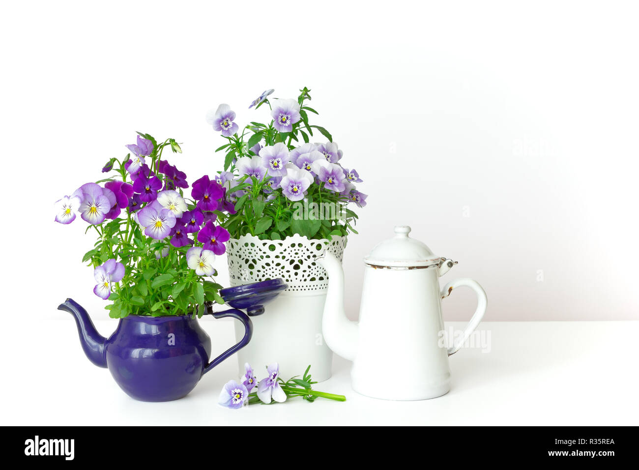 Purple, blue and lilac pansy flowers in a beautiful pot with two vintage enamel jugs or pots on white background, copy or text space Stock Photo