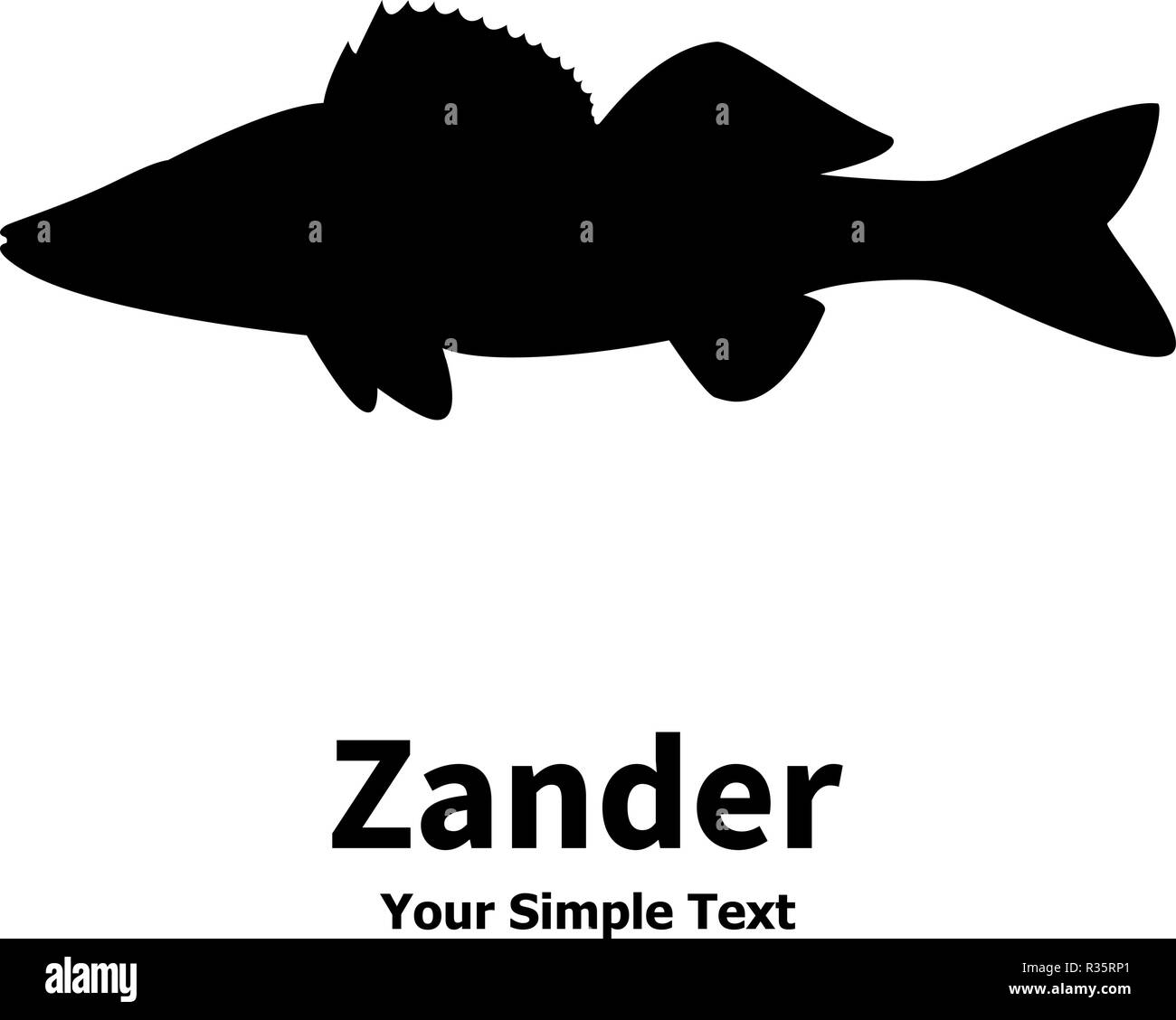 Vector illustration silhouette of zander Stock Vector