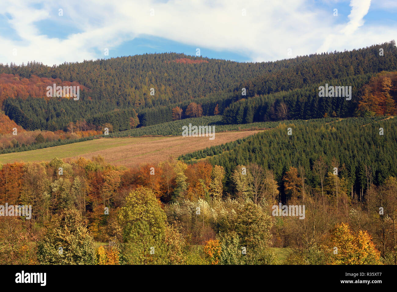 colorful sauerland in autumn Stock Photo