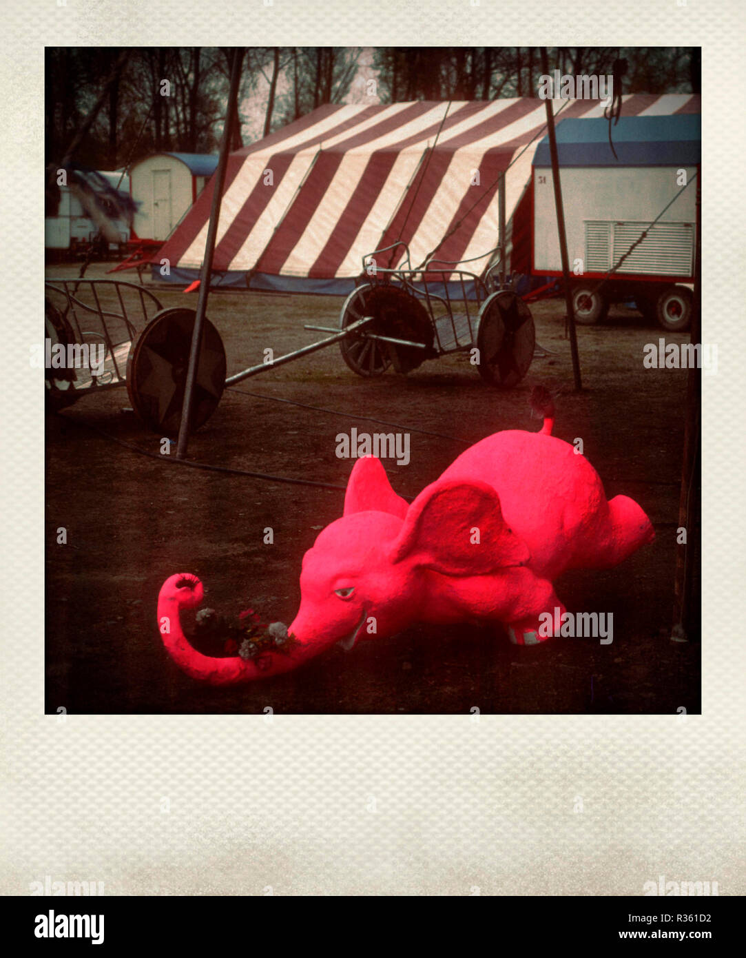 Pink elephant hires stock photography and images Alamy
