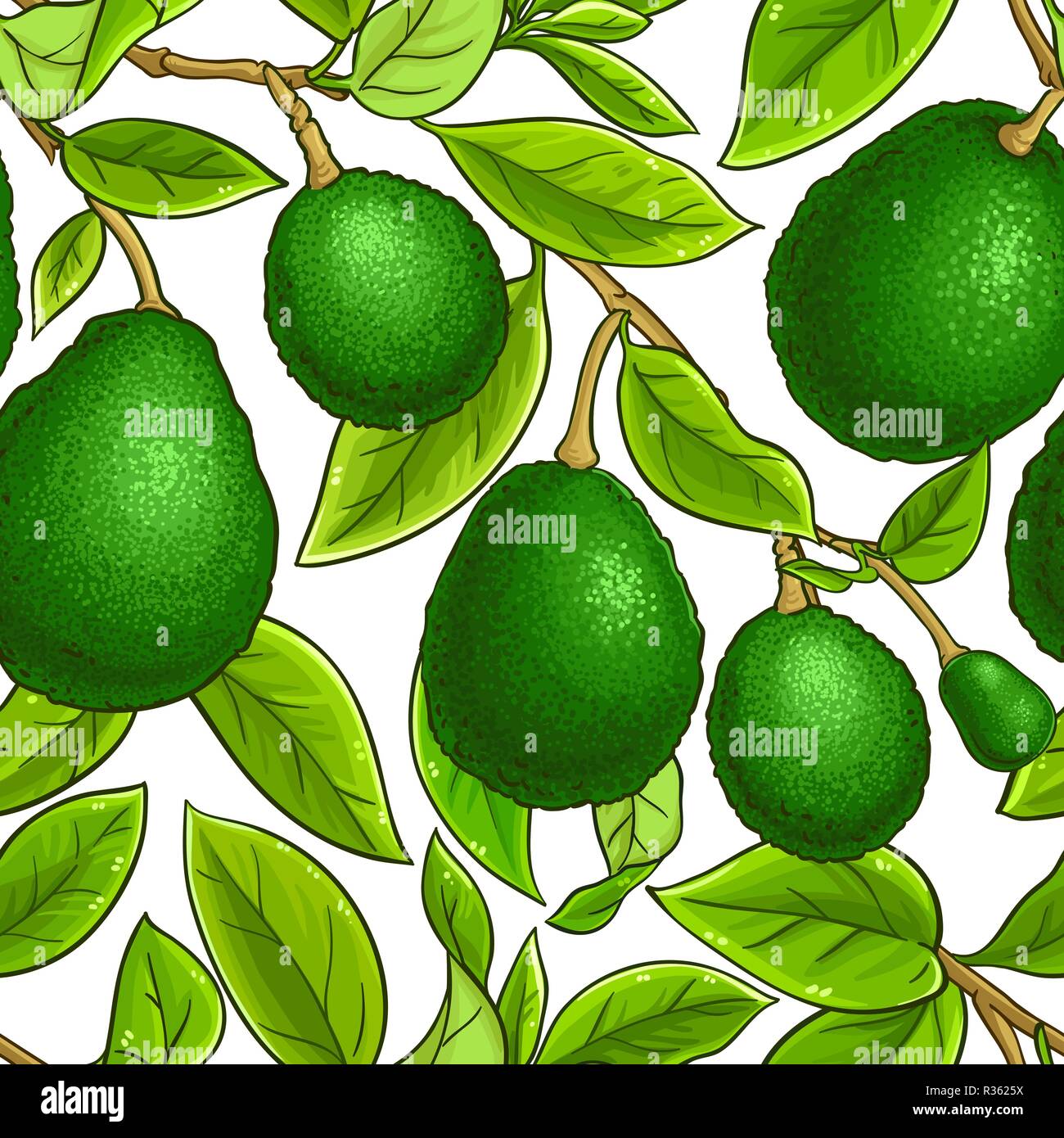 avocado vector pattern on white background Stock Vector