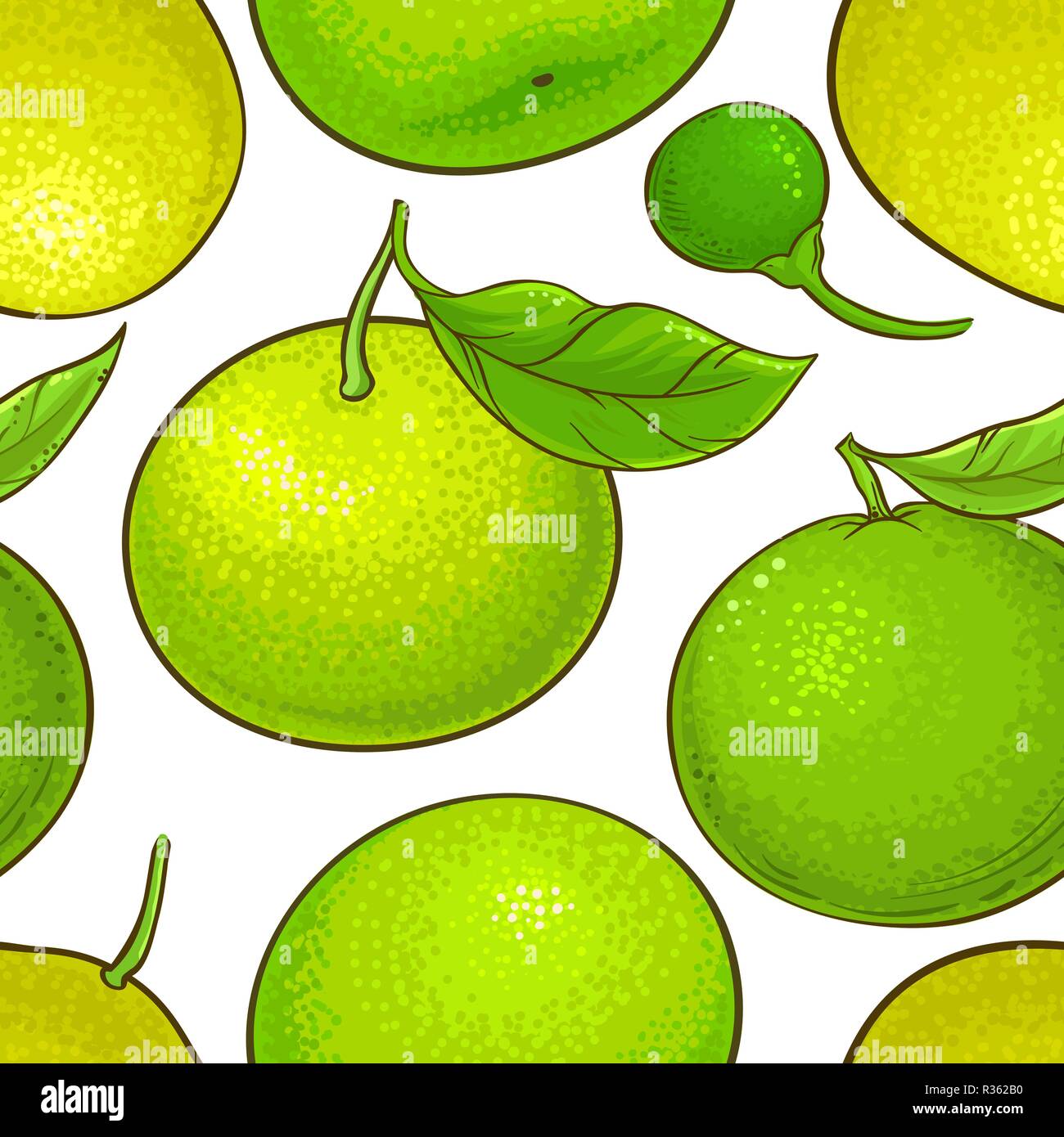 green mandarin fruit vector pattern white background Stock Vector