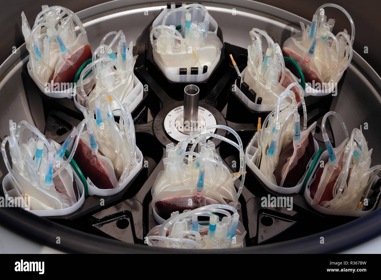 Large volume centrifuge for centrifugation of blood samples Stock Photo