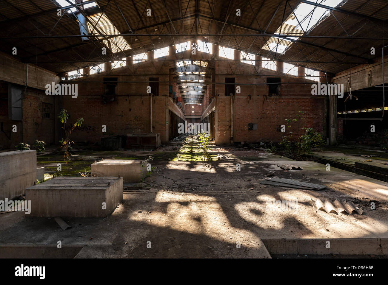 Abandoned factory hall Stock Photo