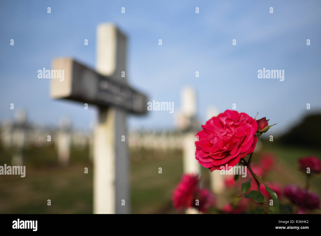 October 20, 2018 - Douaumont, France: The war cemetery monument of Douaumont, which hosts the remains of 130 000 soldiers, both French and German, who took part in the First World War. There are 15 000 crosses outside the monument with the names of French soldiers who died in the vicinity. La necropole et l'ossuaire de Douaumont, un monument imposant a la memoire des soldats ayant participe a la bataille de Verdun durant la Premiere Guerre mondiale. *** FRANCE OUT / NO SALES TO FRENCH MEDIA *** Stock Photo